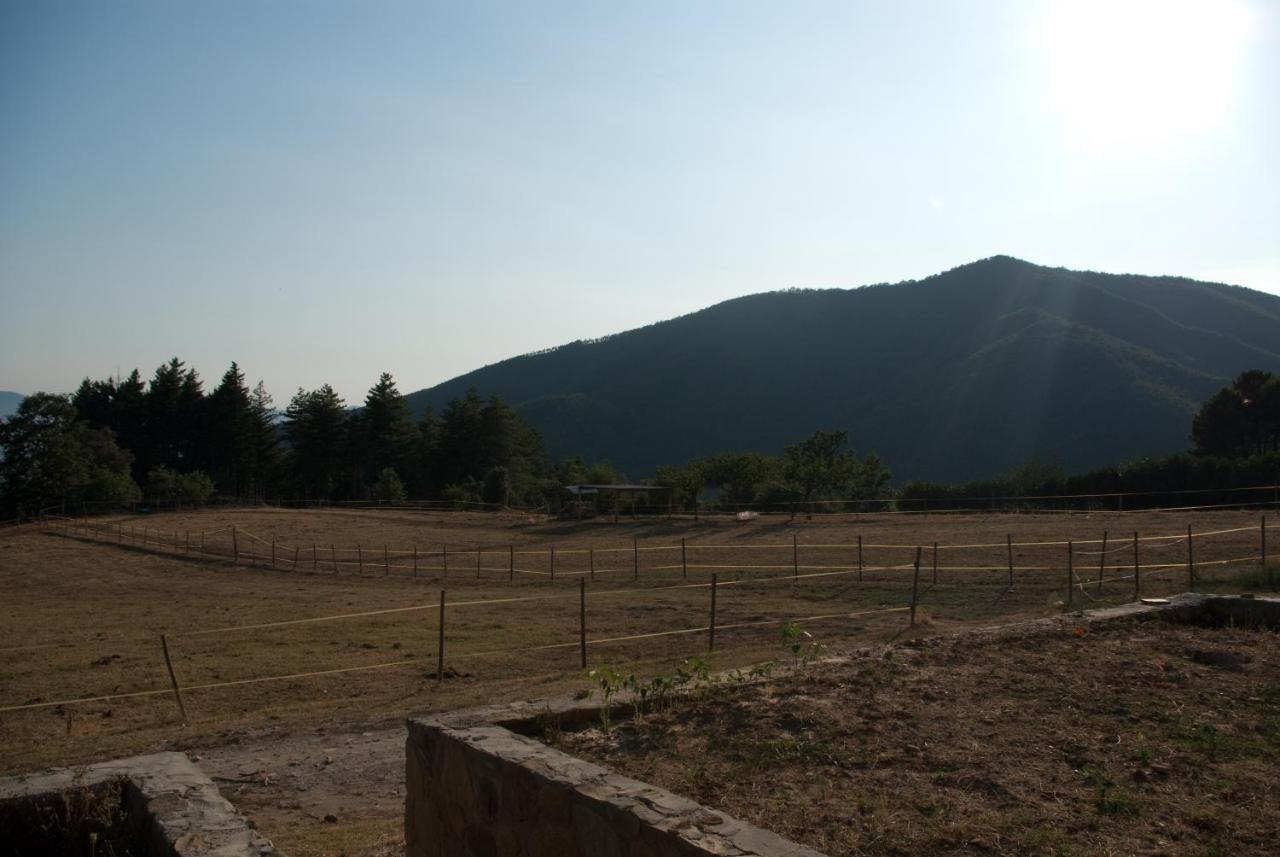 Villa Agriturismo Le Vigne à Montale  Extérieur photo